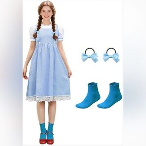 Women’s Blue White Gingham Dress for Adult Costume